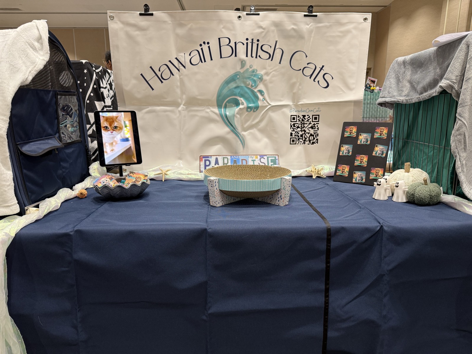 The Hawaiʻi British Cats show table set up at a CFA show